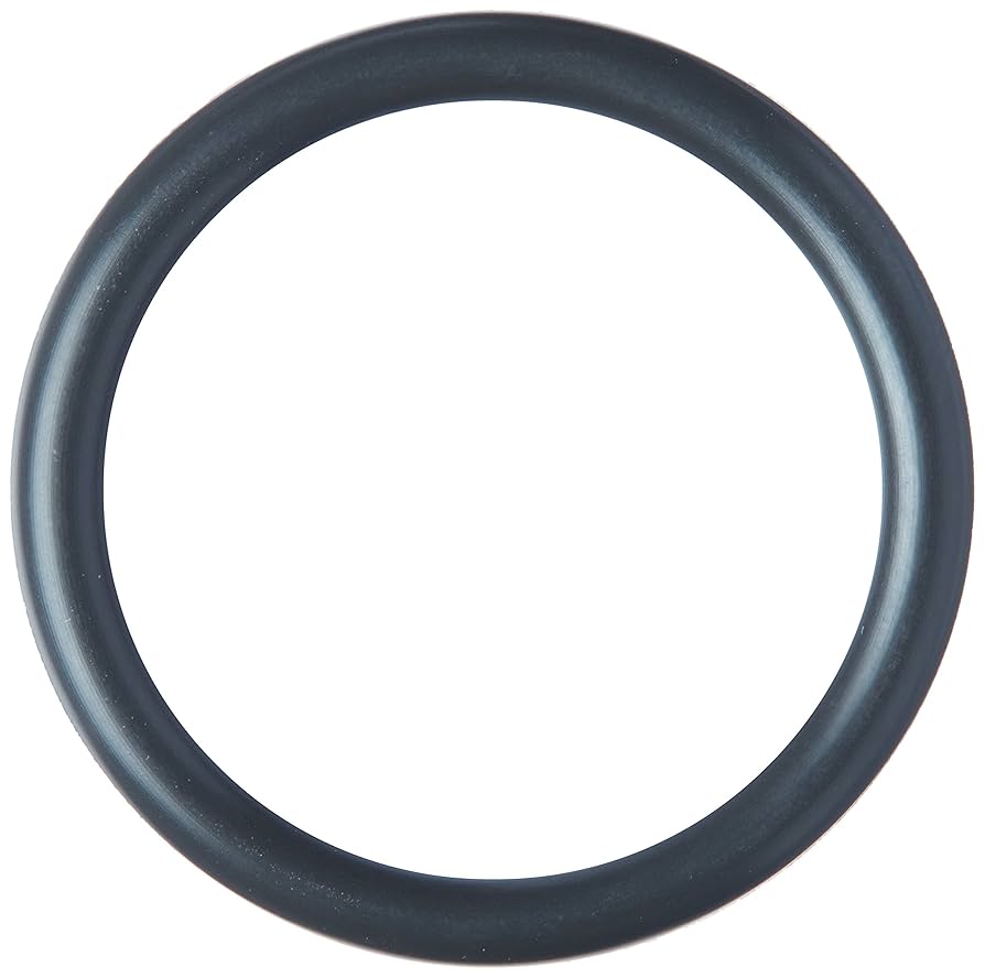 Amazon.com: Nissan Genuine (15066-ZL80D) O-Ring Seal